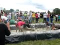 MAROMAKU FEAR FACTOR
