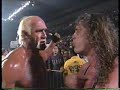 hollywood hogan/bret hart vs  sting/lex luger