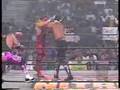 Hollywood Hogan/Bret Hart Vs. Sting/Lex Luger