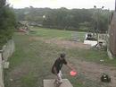 Disc Golf at Hyland SSA in Minnesota