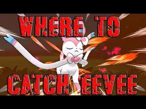 how to get eevee in pokemon x