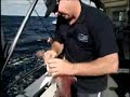 Deep Sea Fishing Perth