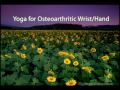 Osteoarthritis Knee Hip Wrist Elbow Ankle Yoga Therapy  Osteoarthritis Yoga