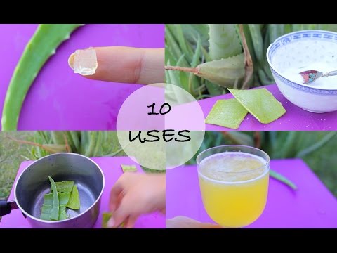 how to aloe vera on skin