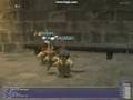 Final Fantasy XI taru-taru