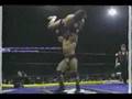 Wrestling-gorilla-pr