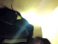 videos de Robinho signing autographs for Premiership.Memorabilia
