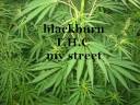 blackburn T.H.C blackburn T.H.C