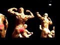 Posedown Vilafranca 2008