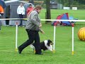 Agility wedstrijd KCWF met Jamie Agility wedstrijd KCWF met Jamie