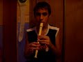 The Place I'll Return to Someday-FFIX(Recorder & LowWhistle)