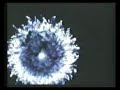 declassified u s  nuclear test film #62