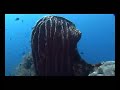 USS Liberty Wreck Video