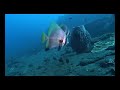 Tulamben - USS Liberty Wreck - Part 2 Tulamben - USS Liberty Wreck - Part 2