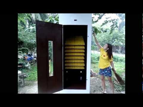 How to make incubator from refrigerator incubator Chicken