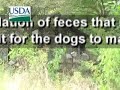 Petland Investigation: Pet Store Sells Puppy Mill Dogs