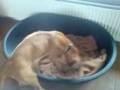 videos de MOV00089
