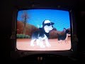 petz dogz 2!