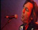 videos de blackie and THE RODEO KINGS-LIVE IN GERMANY