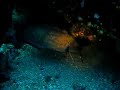 Br�tola. Cabo Ti�oso