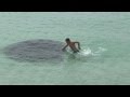 Mysterious Water Creature - Florida 2013