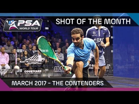 Squash: Shot of the Month - March 2017: The Contenders