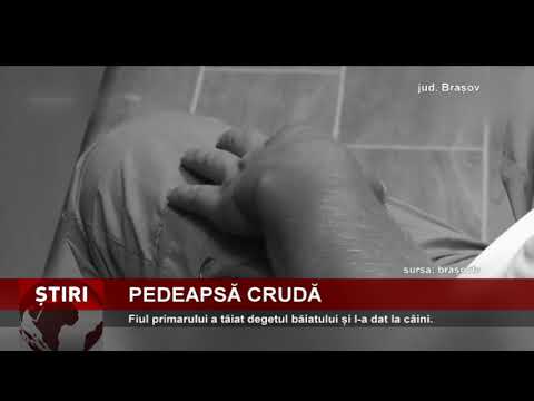 Fiul primarului din Crizbav a tăiat degetul unui băiat și l-a dat la câini
