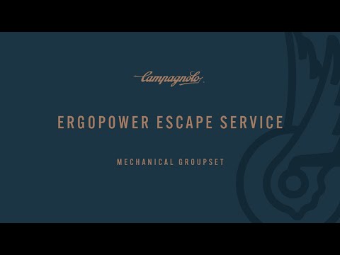how to rebuild campagnolo ergo shifter