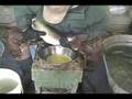 Walleye Spawning