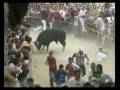 ENCIERRO EM BENAVENTE ( ESPANHA )