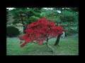 test ( MPEG4-MID-512×288-2.5MB-Music ) test ( MPEG4-MID-512×288-2.5MB-Music )