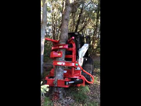 Forestry, Land Clearing and Vegetation Management Tree Shear | Fecon