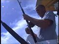 Les tarpons de Guyane Les tarpons de Guyane
