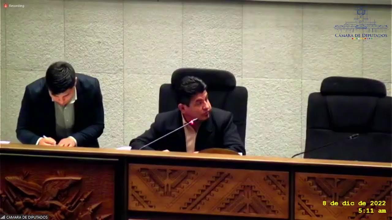 17a Sesión Ordinaria - 7/12/22