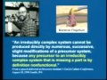 Irreducible Complexity (bacterial flagellum) debunked