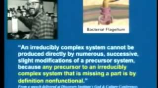 Against Irreducible Complexity