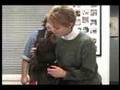 videos de Able.Vision discusses pet therapy