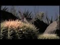 Welcome to Palm Desert, California, the Valley's ...