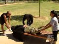 Criss Angel Mindfreak - Split In Two