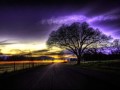I Can Only Imagine ~ MercyMe w/ London Symphony Orchestra View Video