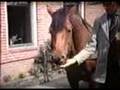 Uitzending Vrouger RTV-Noord Middelstum 1/4
