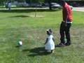 P.Diddy Blog #1: Diddy Day Care: A day with Diddy and the Twins