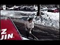 The Last Hurrah of Old School Freestyle Skiing (spot 1)