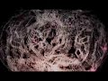 1200 micrograms - language of the future AMAZING musicvideo