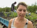 Mangrove Replanting Mangrove Replanting