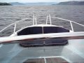 Askeladden Wasper Mercury 150 Optimax