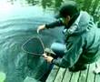Kirjolohen kalastusta
