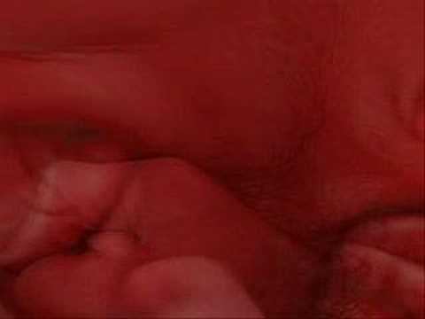 Imagem de Amostra do You Tube