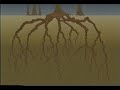 DNS, Telnet and FTP (animated discussion)