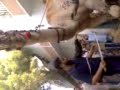 Camel Bidka